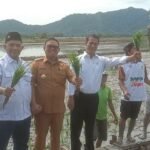 Kunker ke Palopo, Mentan RI Salurkan Bantuan kepada Petani