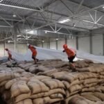 7 Perusahaan Jasa Fumigasi Terbaik