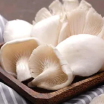 Jamur Tiram: Manfaat dari Antioksidan dan Kesehatan Jantung