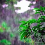 Besok Palopo Diguyur Hujan, Waspada Badai Petir Siang Hari