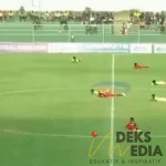 Pertandingan di Tanzania Disetop Gegara Serbuan Kawanan Lebah