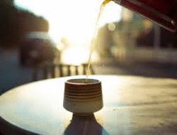 Gaya Hidup Berkesadaran Tinggi Mendominasi Kebiasaan Masyarakat 2025