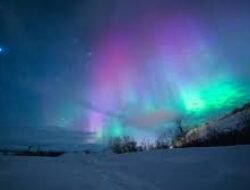 Menikmati Aurora Borealis di Norwegia: Liburan Musim Dingin 2025